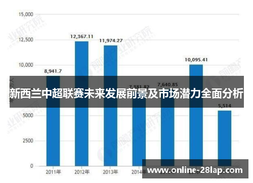 新西兰中超联赛未来发展前景及市场潜力全面分析
