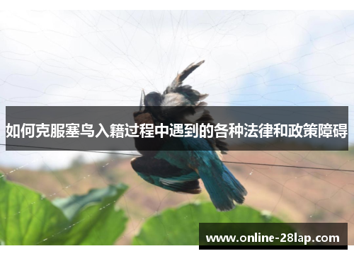 如何克服塞鸟入籍过程中遇到的各种法律和政策障碍