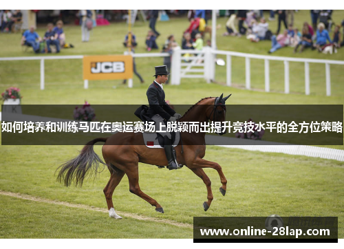 如何培养和训练马匹在奥运赛场上脱颖而出提升竞技水平的全方位策略